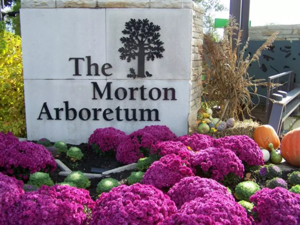 Morton Arboretum via Facebook