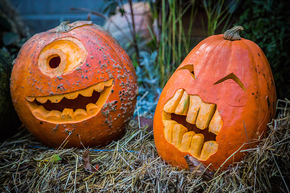 Popular Illinois Pumpkin Launch Features Giant 400 Pound Catapult