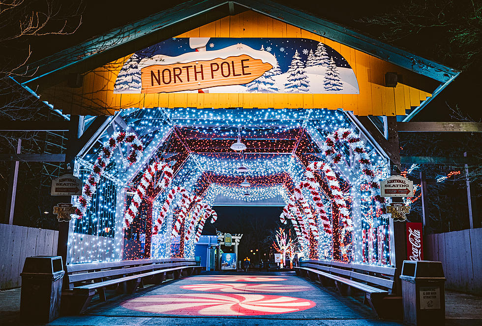 Holiday Experience in Illinois With 3M Lights Sets Opening Night