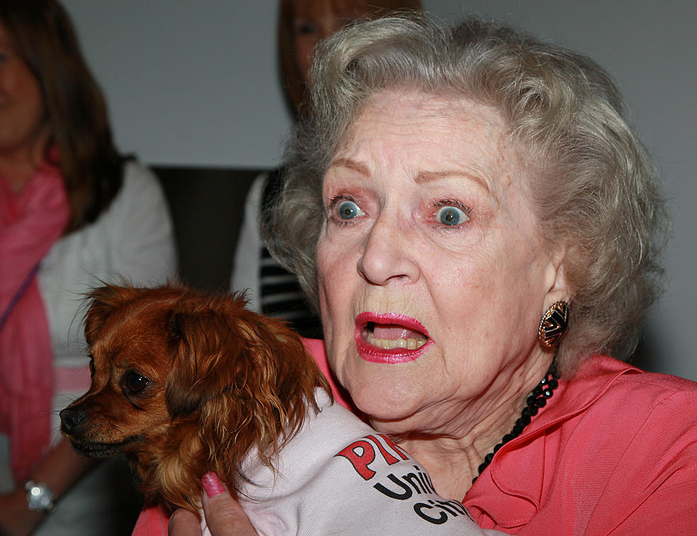 Best Places in Rockford Where You Can Take the ‘Betty White Challenge’