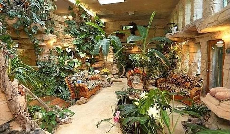 Wild Wisconsin Indoors is Outdoors House Was Once Listed for $1M