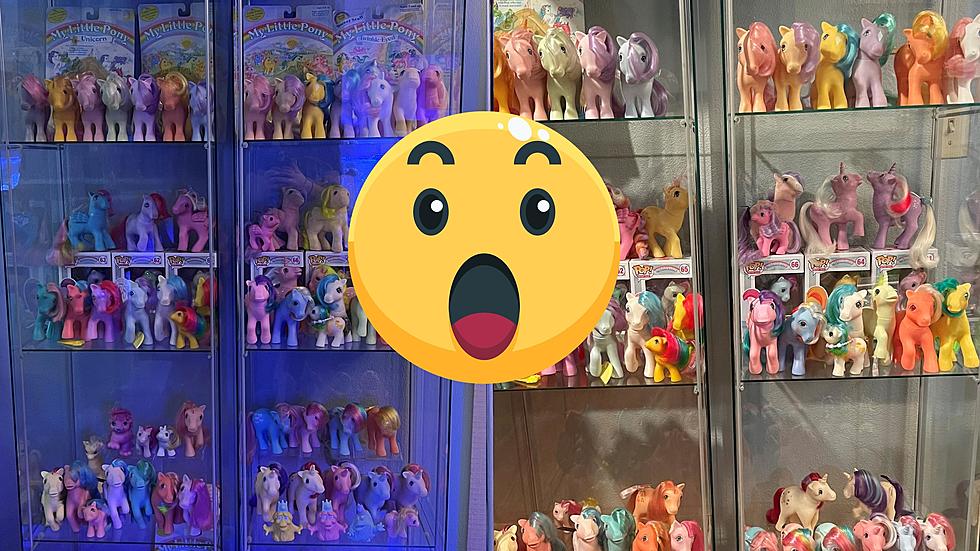 OBSESSED: Illinois Woman Addicted To Collecting G1 My Little Ponies