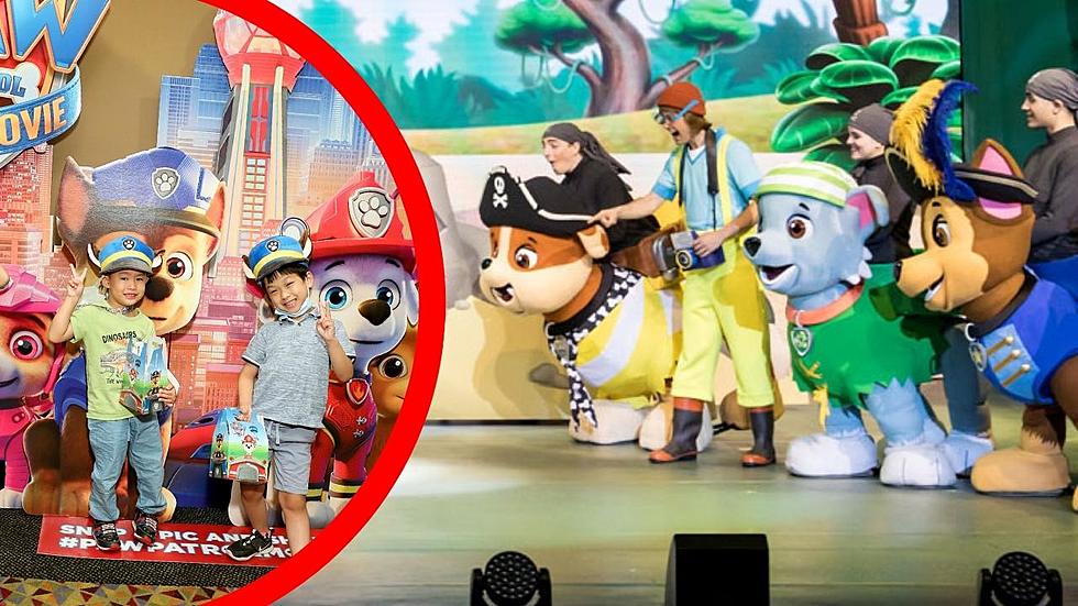 Don’t Miss This Pawsome Performance of PAW Patrol Live! Coming To Rockford