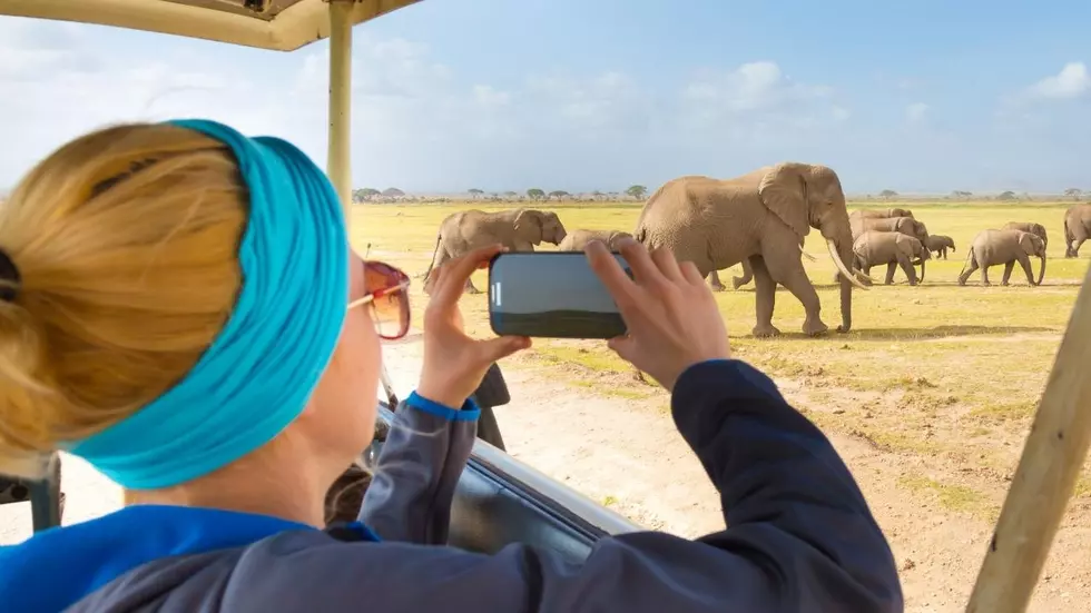 Did You Know There&#8217;s Only 1 Drive-Thru Safari Adventure In Illinois?