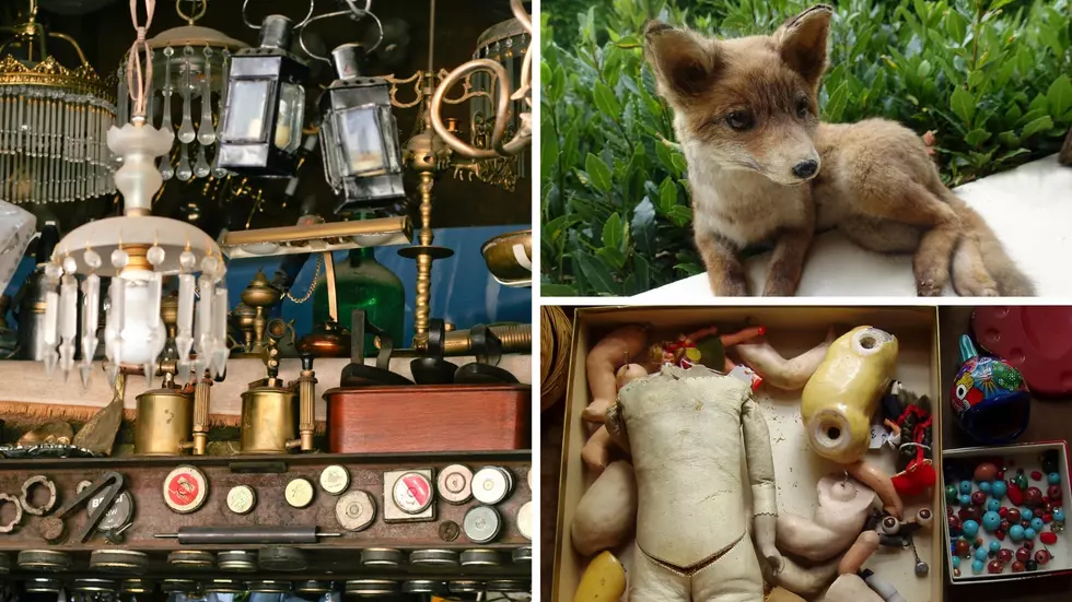 This Hidden Gem Shop In Illinois Will Spark Your Curiosity For Sure