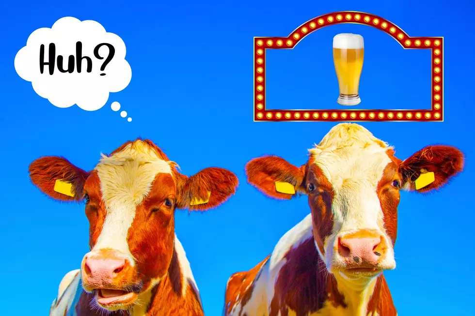 5 Things You Probably Didn’t Know About Wisconsin’s Famous Spotted Cow Beer