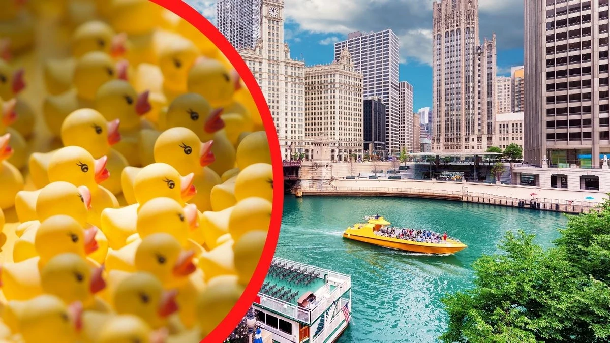 duck tour in chicago
