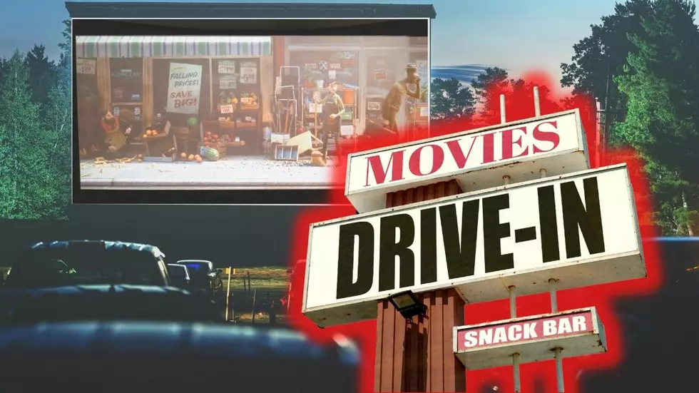 The 5 Best Drive-In Movie Theaters In Illinois