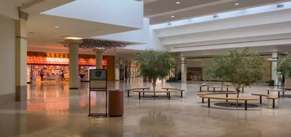 Woodfield Mall still draws shoppers even as other suburban centers fail