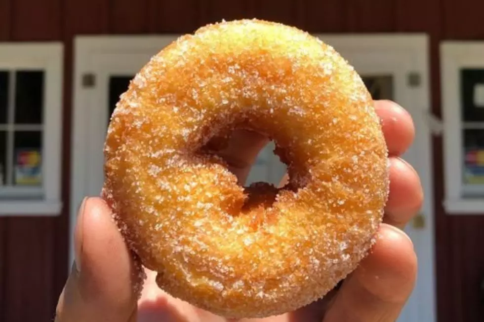 Illinois Apple Orchard Has Job Opportunities for Cider Donut Lovers