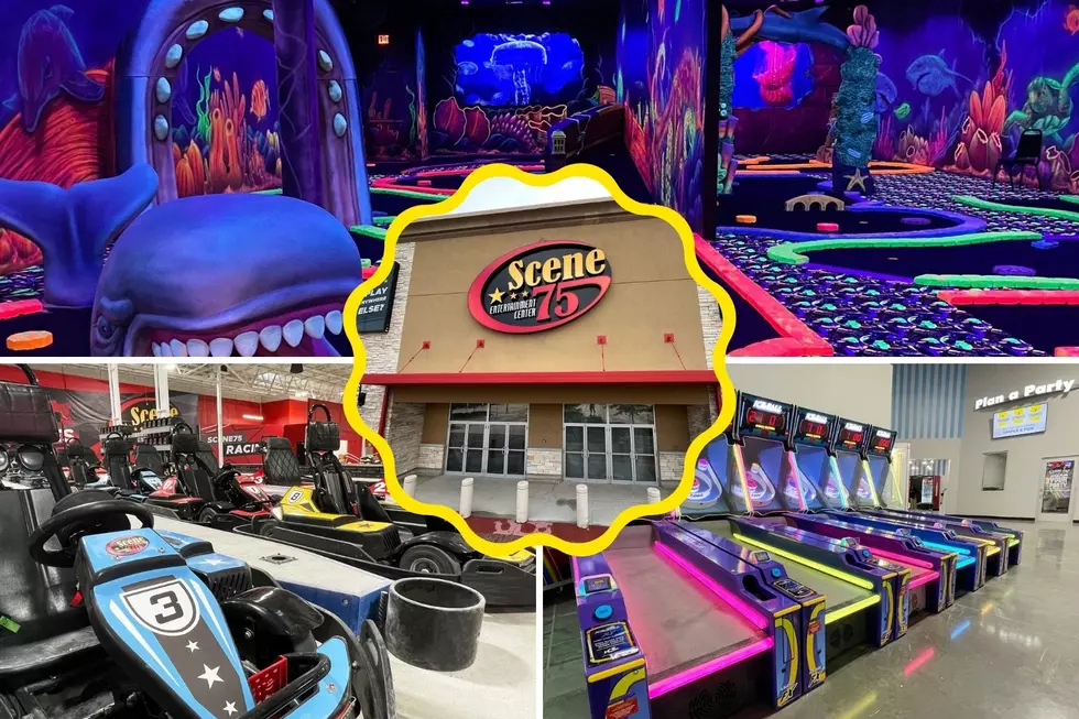 #1 Indoor Entertainment Center Officially Opened In Illinois