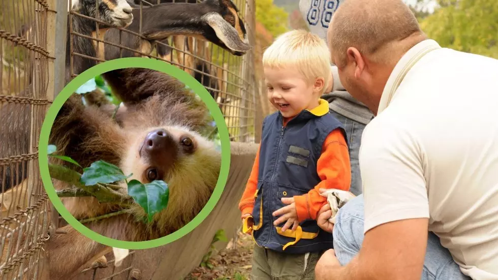 Popular Illinois Zoo Announces Final Days To Visit During Summer Hours