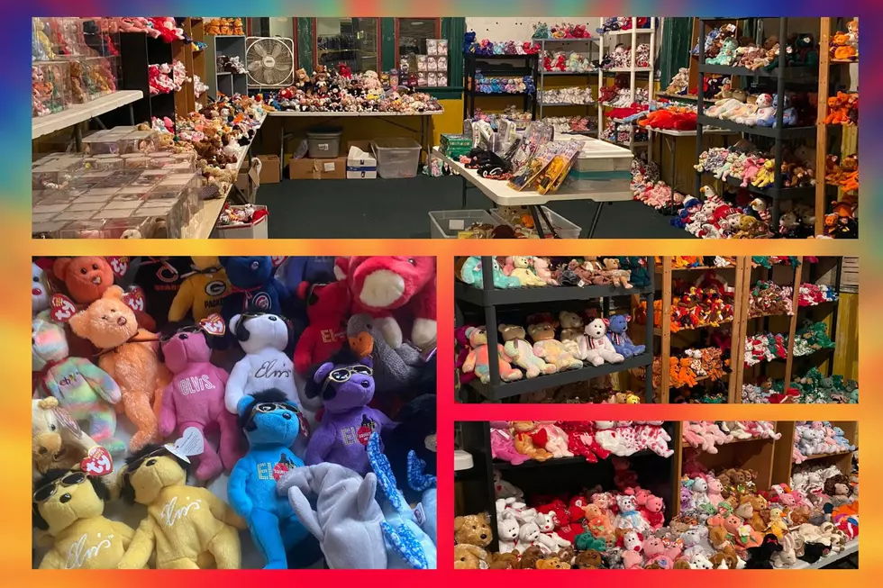 Huge Collection of Beanie Babies in Rockford Estate Sale Sat & Su