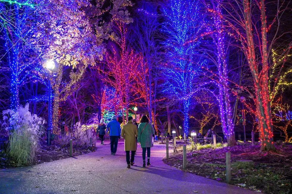 Visit Lincoln Park Zoo's Magical Holiday Light Show For Free