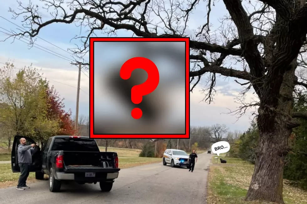 Bizarre! How Did This End Up Hanging From A Tree In Illinois?