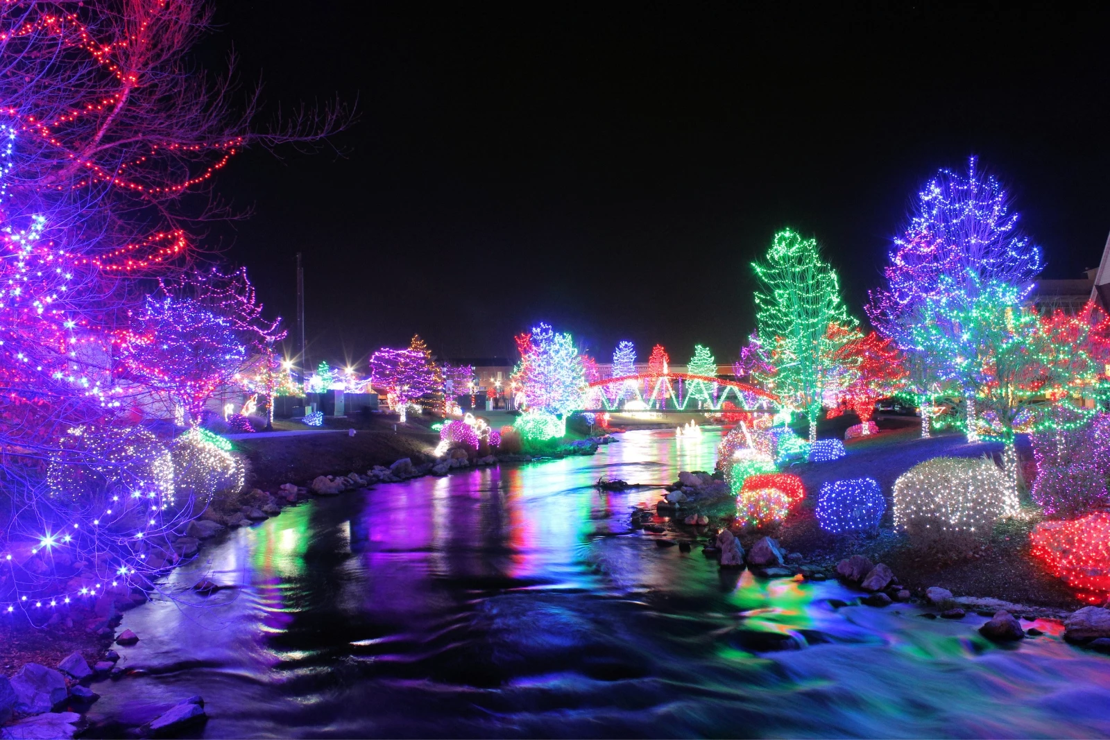 Chicagoland Brookfield Zoo s Holiday Magic Light Show Returns