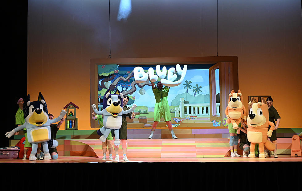 Bluey’s Big Play at Rockford's Coronado Theater