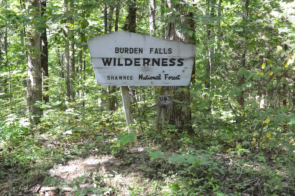 Burden Falls Wilderness via Facebook