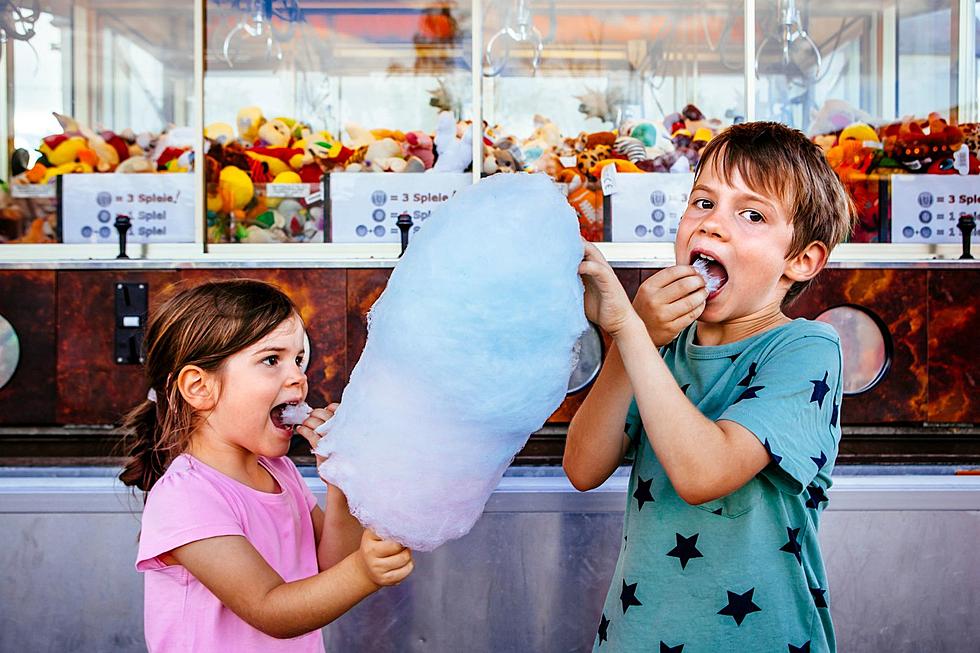 The #1 Reason Illinoisans Actually Go To State Fairs