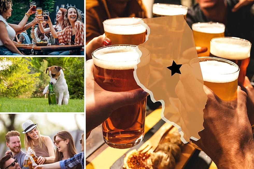 BEER LOVER SUMMER: Best City in Illinois to Visit for Beer Drinkers