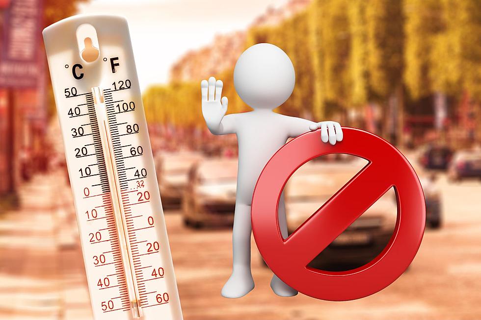 STOP! Don&#8217;t Dare Leave These 8 Things In A Hot Car In Illinois