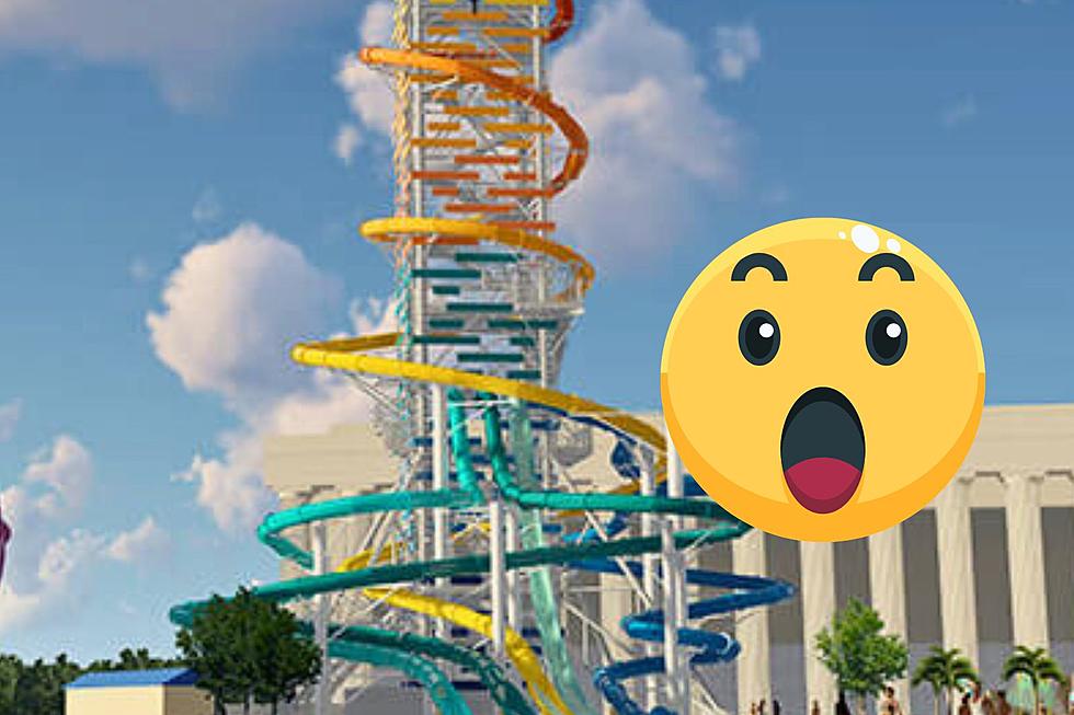 Tallest Waterslide in US Will Be Built in World Famous WI Dells