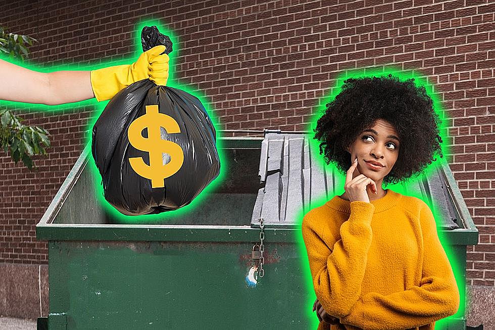 Illinois Dubbed &#8216;Ultimate Dumpster Diving Destination&#8217; In America