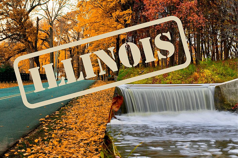 SURPRISE: 20 Reminders of Illinois' Beautiful Peak Fall Colors