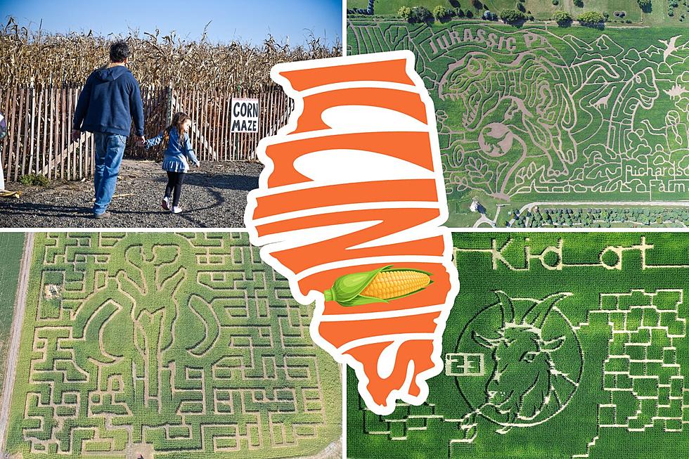 5 of The Biggest &#038; Best Corn Mazes in Illinois