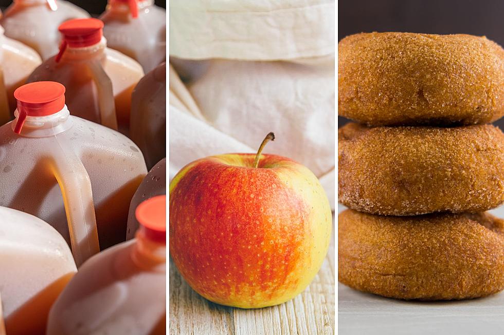 5 Perfect For Fall Apple Orchards Around Northern Illinois You Should Visit
