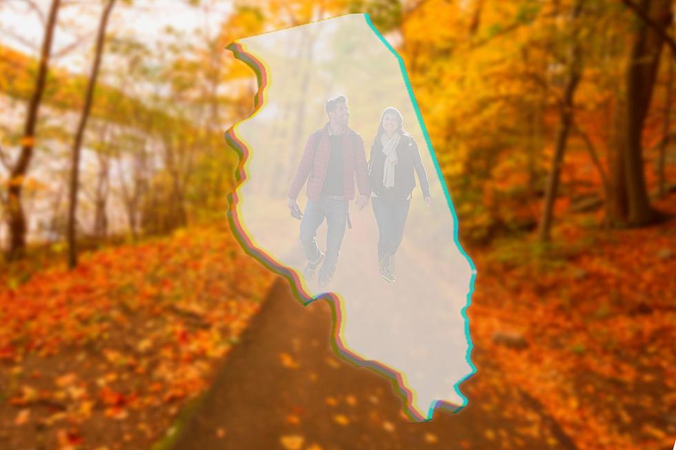 Here are the Best Times To Catch Peak Fall Colors Throughout Illinois