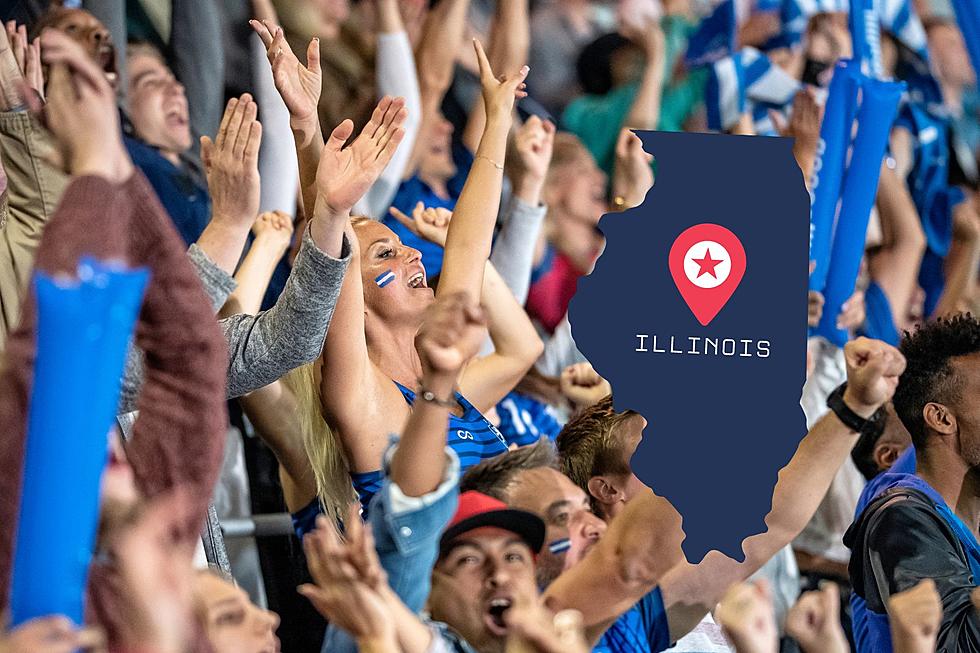 Residents Have Spoken: Top 5 Most Popular Sports in Illinois