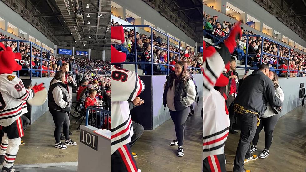Rinkside Romance: Surprise Proposal at Rockford Icehogs Home Opener