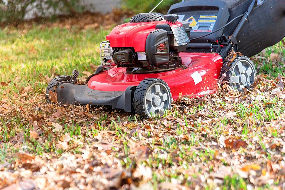 When Should You Stop Mowing Your Lawn If You Live In Illinois?