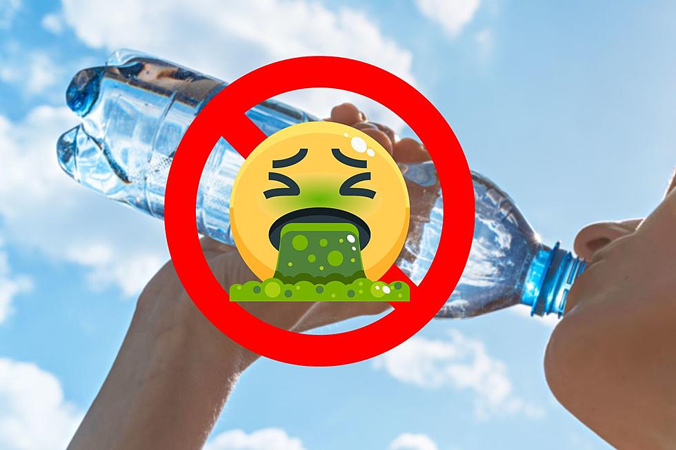 You'll Never Guess The 5 Most Hated Water Brands In Illinois