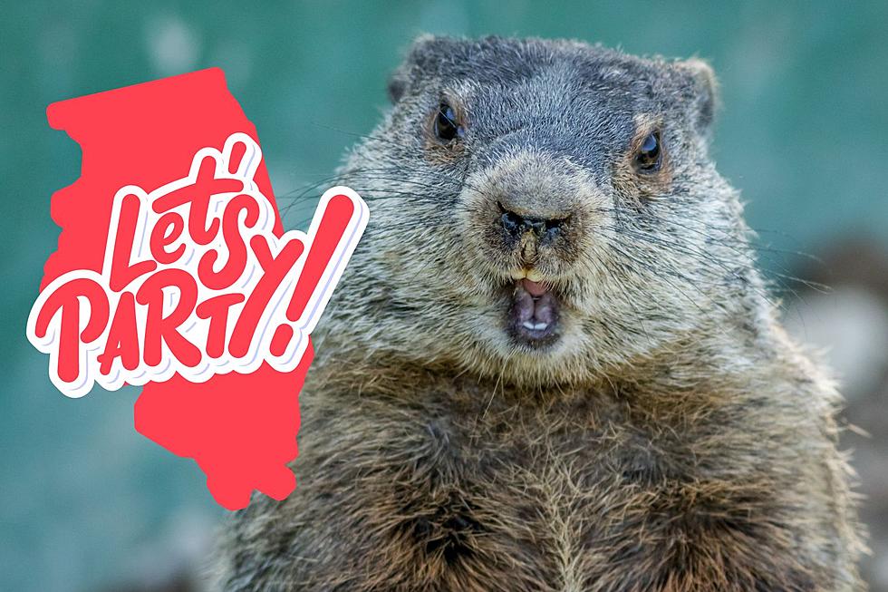 World Famous Illinois Groundhog Day Festival with Very Special Guest