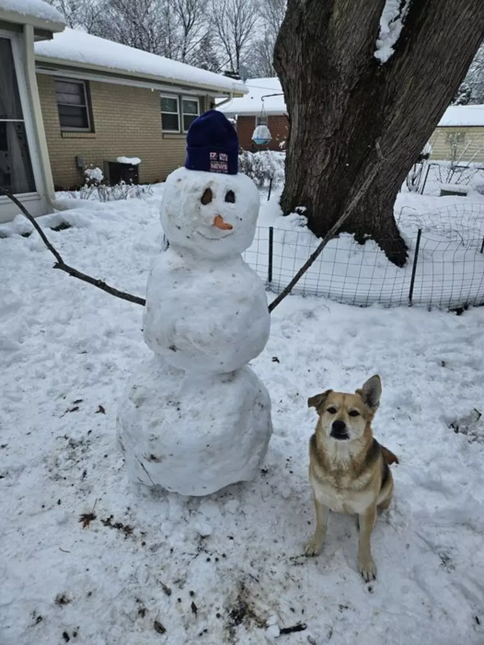 One of Illinois&#8217; Favorite Meteorologists Brings Back &#8216;Snowy Tribbiani&#8217;