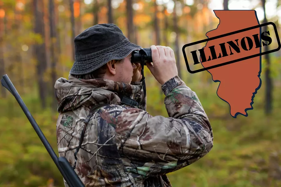 The 3 Animals You Can Hunt Year-Round in Illinois