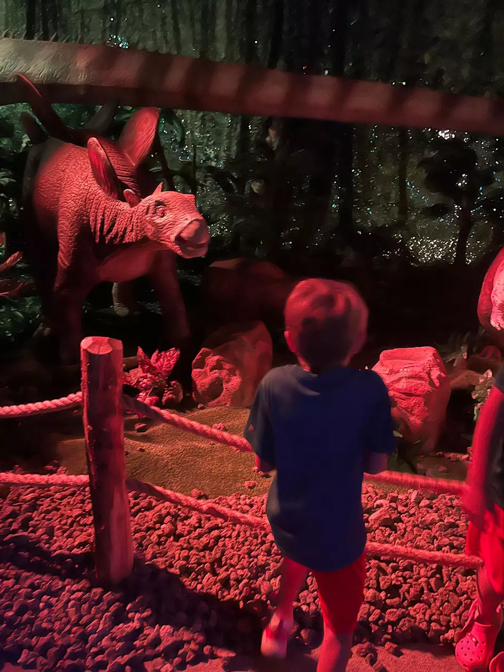 40 Giant Dinosaurs are Roaring for you in Chicago this Summer
