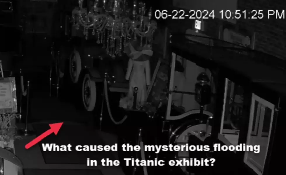 Viral Video Puts Volo Museum In The Spotlight During Mysterious Flooding