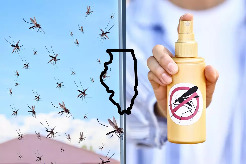 Illinois City Dubbed Third Most Mosquito Infested in America