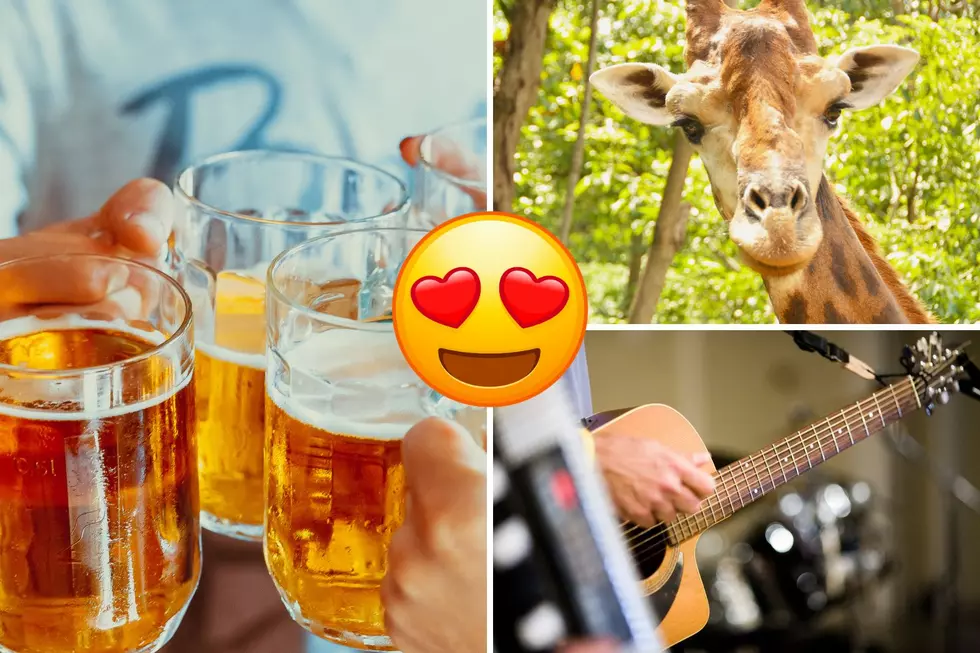 Experience the Wild Side: Music, Brews, & Wildlife at Chicago’s Lincoln Park Zoo