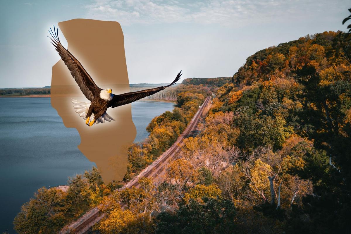 Travel Site Says These Are 3 of IL's Most Charming River Towns