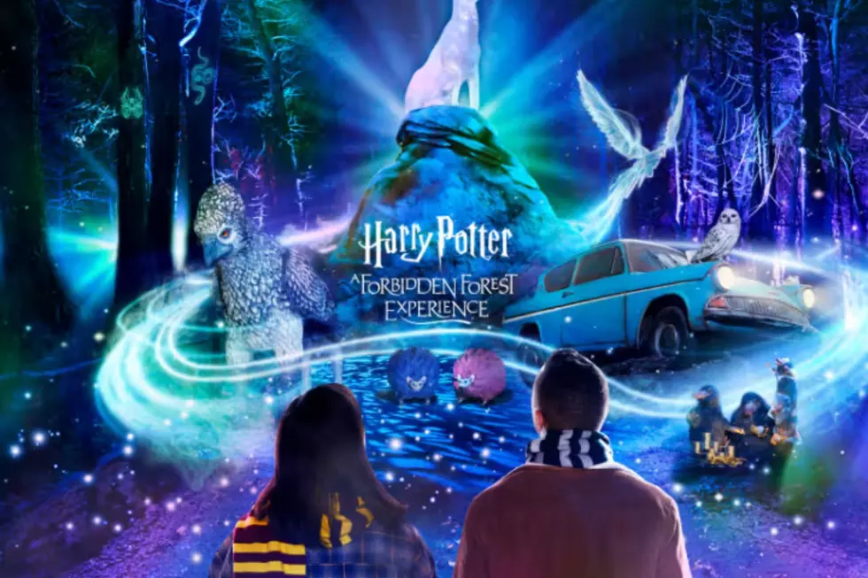 Harry Potter™: A Forbidden Forest Experience, Canva
