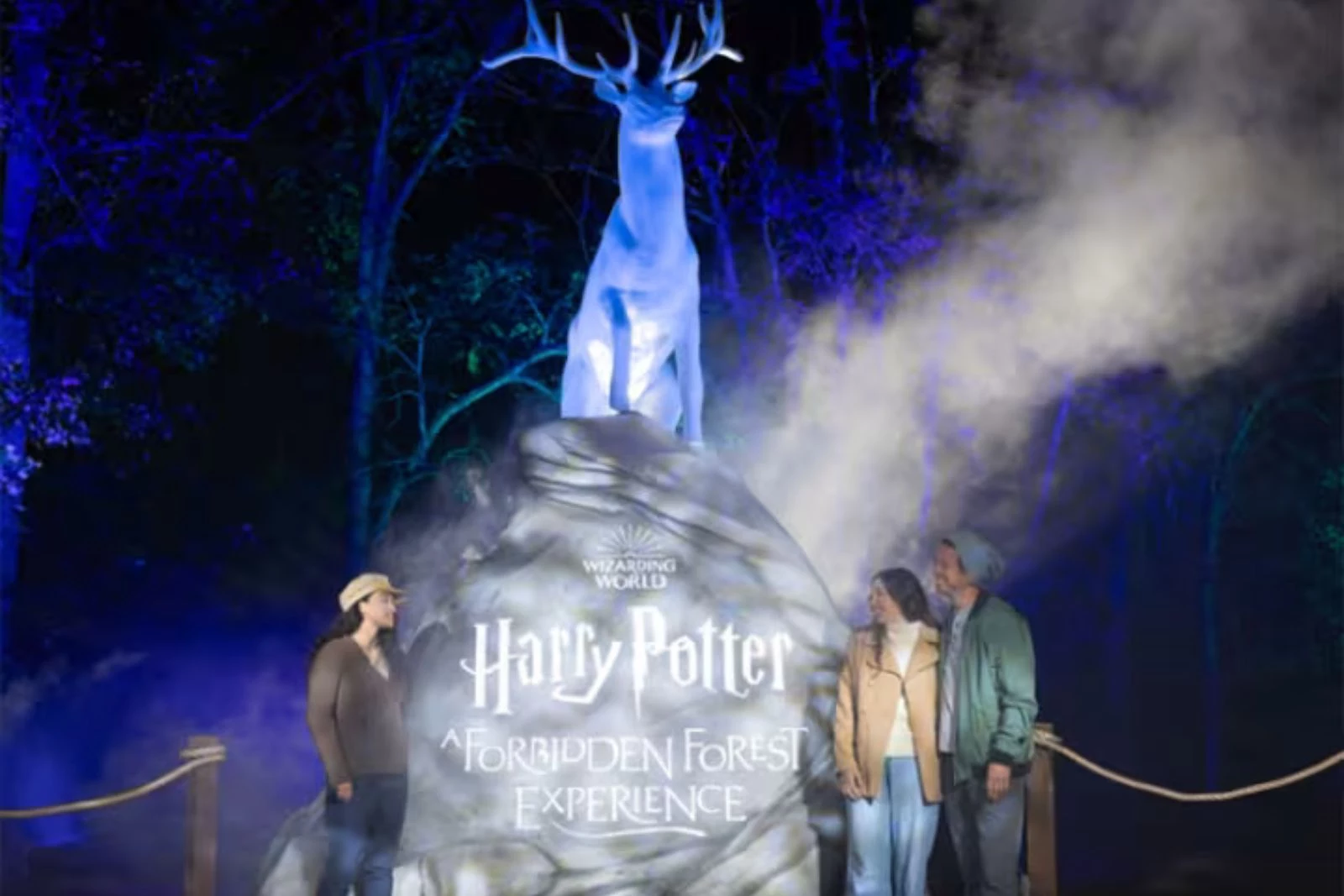 What To Expect At The Harry Potter Forest Adventure In Illinois