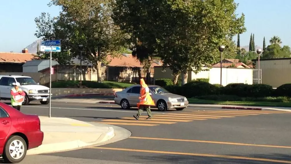 Watch Out for Cop Dressed as Orange Cone