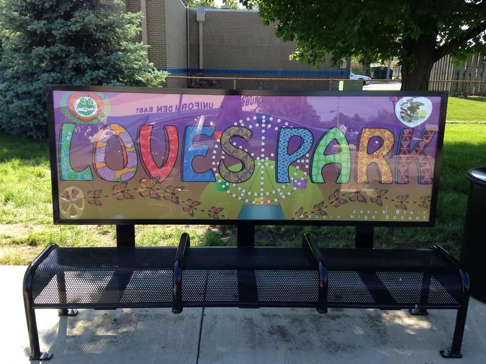 Update: 8 Artistic New Benches in Loves Park [Photos]