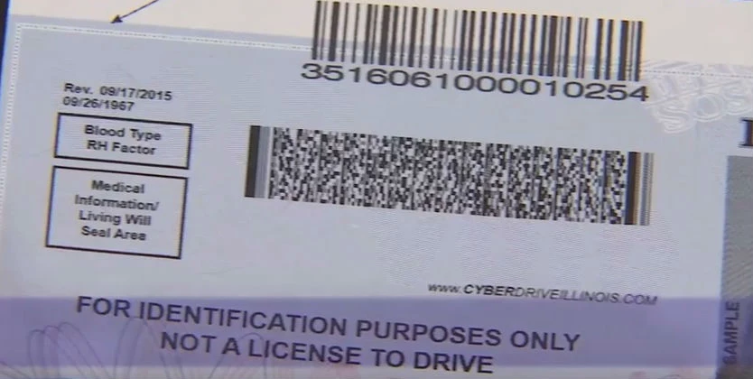 example drivers license barcode by state
