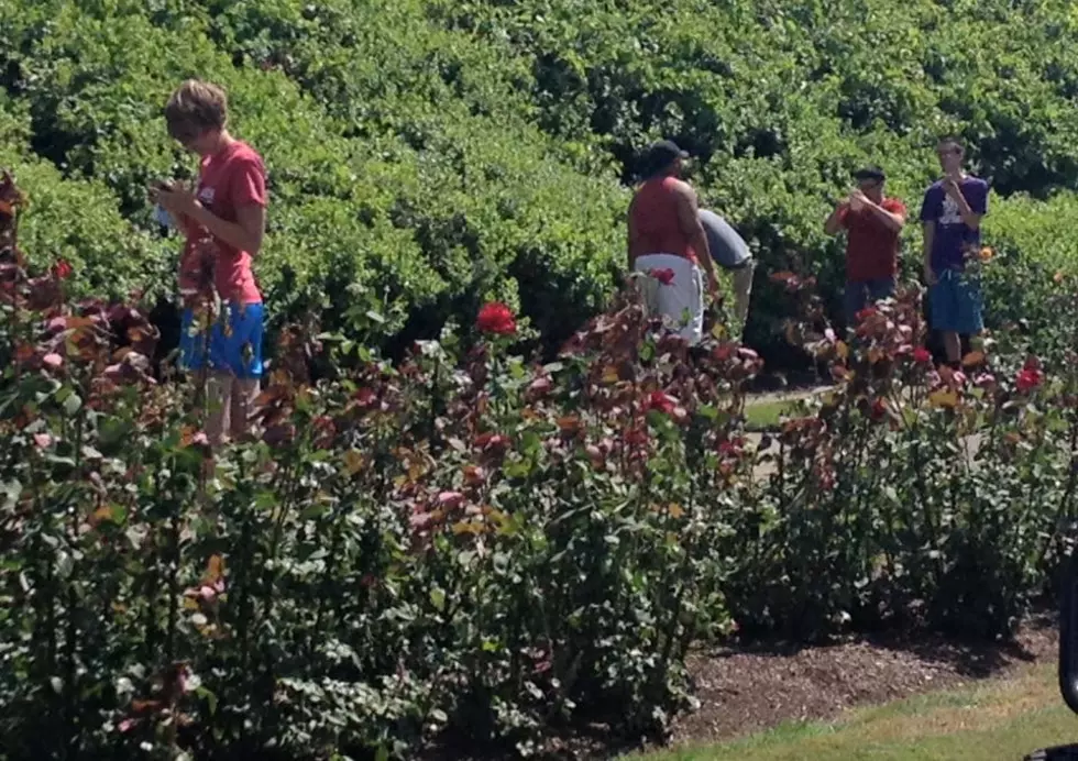 &#8216;Pokézoms&#8217; Taking Over Nicholas Conservatory &#038; Gardens