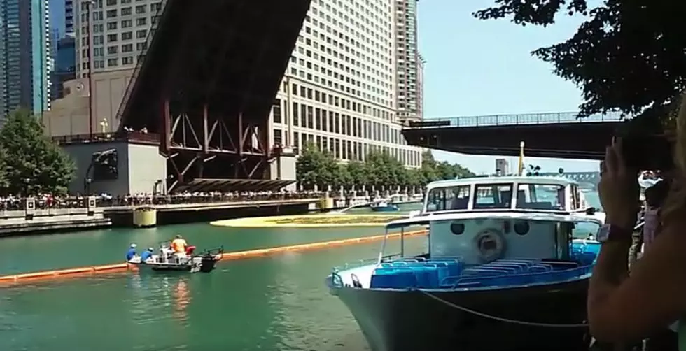 57,000 Rubber Ducks Were Dumped in Chicago River